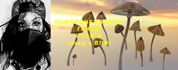 сатива Белоозёрский