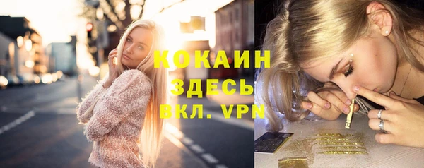 сатива Белоозёрский