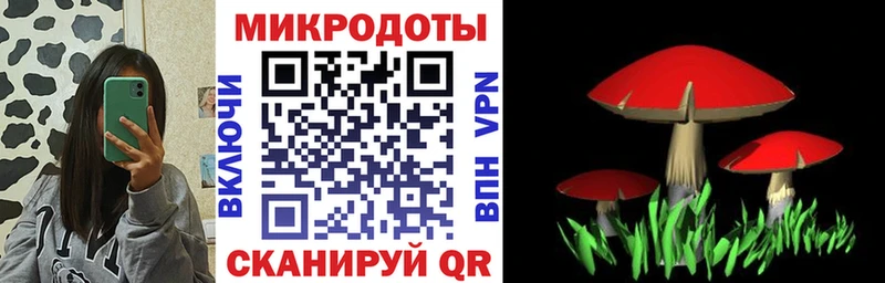 где можно купить наркотик  Кстово  Псилоцибиновые грибы Psilocybine cubensis 